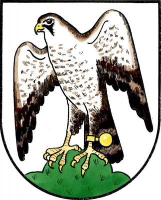 Ve stříbrném štítě stojí na zeleném trojvrší vpravo obrácený a napravo hledící sokol přirozených barev se zlatým zobákem, zlatými drápy a zlatým obnožníkem s rolničkou na levém pařátu. Znak Sokolov