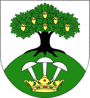 Ve stříbrném štítě na zeleném návrší zelený dub se zlatými žaludy a černým kmenem, pod ním zlatá koruna se třemi zapíchnutými stříbrnými cvoky. Znak Stašov