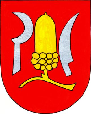 V červeném štítě na zlaté větévce velký vztyčený zlatý žalud, provázený stříbrným kosířem a krojidlem. Znak Strachotín