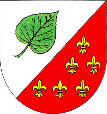 Ve stříbrno-červeně šikmo děleném štítě nahoře šikmo vztyčený zelený lipový list, dole šest (1,2,3) zlatých lilií. Znak Strakov