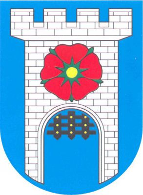 V modrém štítě stříbrná kvádrovaná věž s cimbuřím a prázdnou branou s polovytaženou černou mříží. Nad branou červená růže se zlatým semeníkem a zelenými lístky. Znak Strunkovice nad Blanicí