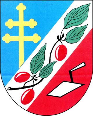 Modro-červeně šikmým stříbrným břevnem dělený štít, v něm větev dřínu se čtyřmi zelenými listy a třemi červenými plody, nahoře vyrůstající zlatý jetelovitě zakončený patriarší kříž, dole stříbrná zednická lžíce. Znak Šumice