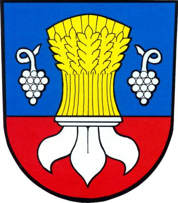 V modro-červeně sníženě děleném štítě nahoře zlatý vyrůstající obilný snop provázený dvěma stříbrnými vinnými hrozny, dole k snopu přiléhající dolní polovina stříbrné lilie. Znak Sušice