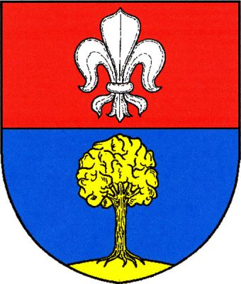 V červeno-modře děleném štítě nahoře stříbrná lilie, dole na trávníku dub, obojí zlaté. Znak Svinošice