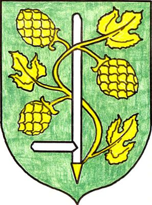 V zeleném štítě stříbrný chmelařský průboj s nášlapnou příčkou vpravo, esovitě obtočený zlatou chmelovou révou se třemi šišticemi a listy, vyrůstající z levého horního okraje zlatého hrotu průboje. Znak Svojetín