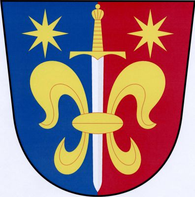 V modro-červeně polceném štítě postavený stříbrný meč se zlatým jílcem prostrčený zlatou lilií bez středních listů, nahoře provázený dvěma zlatými osmihrotými hvězdami. Znak Svojšice