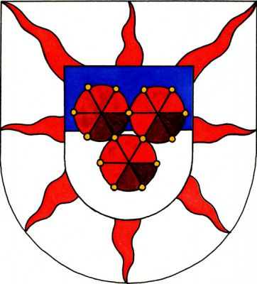 Ve stříbrném štítě od středu do krajů štítu osm červených plamenů, přes ně ve středu modro-stříbrně dělený štítek se třemi (2,1) dotýkajícími se vybroušenými českými granáty přirozené barvy, drženými zlatými zrnky. Znak Třebívlice