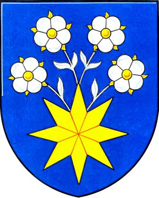 V modrém štítě zlatá osmihrotá hvězda kvetoucí na stříbrných stoncích čtyřmi stříbrnými pětilistými květy se zlatými středy a kališními lístky. Znak Troubelice