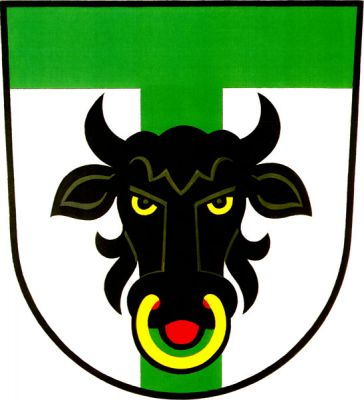 Ve stříbrném štítě se zelenou hlavou a kůlem černá zubří hlava se zlatou houžví a červeným jazykem. Znak Turovec