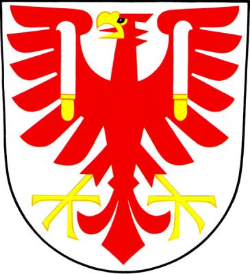 Ve stříbrném štítě červená orlice se zlatou zbrojí mající na křídlech stříbrné vinařské nože se zlatou rukojetí. Znak Týn nad Bečvou