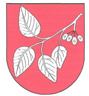 V červeném štítě šikmo dolů položená větev jilmu se čtyřmi listy a čtyřmi plody, vše stříbrné. Znak Vážany