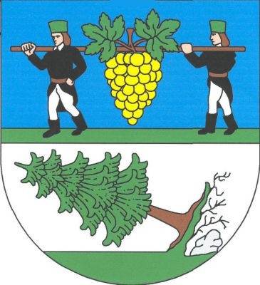 V modro - stříbrně děleném štítě nahoře na zeleném trávníku dva kráčející horníci v černých kabátcích, flecích a botách, ve stříbrných kalhotách a zelených čepicích, nesoucí na dřevěné tyči přirozené barvy zlatý vinný hrozen se dvěma zelenými listy, dole na zeleném trávníku kosmo vyvrácená jedle, pod vývratem vlevo valoun stříbra, vše přirozené barvy. Znak Vejprty