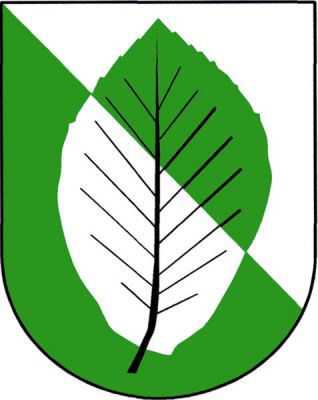 Ve stříbrno-zeleně kosmo děleném štítě vztyčený bukový list opačných barev. Znak Velká Buková