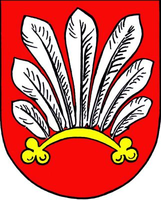 V červeném štítě zlaté vypuklé perizonium ukončené jetelovými trojlístky a postrkané sedmi stříbrnými pery. Znak Velké Meziříčí