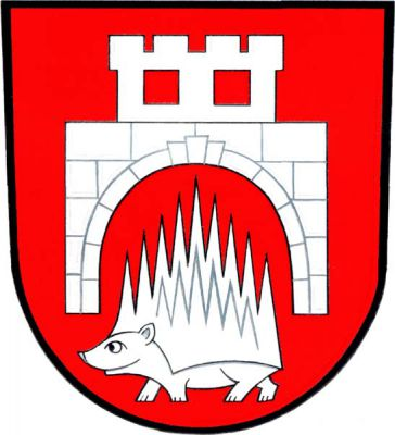 V červeném štítě ježek převýšený širokou prázdnou kvádrovanou branou přecházející v nízkou cimbuřím zakončenou věž se dvěma prázdnými okny, vše stříbrné. Znak Vícov