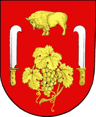 V červeném štítě pod zlatým zubrem zlatý vinný hrozen se třemi listy, provázený dvěma přivrácenými stříbrnými vinařskými noži se zlatými rukojeťmi. Znak Vinaře