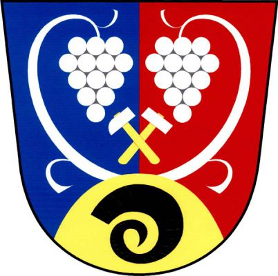 V modro-červeně polceném štítě zlaté návrší s černým beraním rohem. Z návrší vyrůstají dva přivrácené stříbrné vinné hrozny na stoncích, pod hrozny stříbrná hornická kladívka se zlatými topůrky. Znak Vinařice