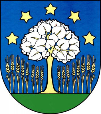 V modrém štítě na zeleném trávníku stříbrná lípa se zlatým kmenem, provázená nahoře do oblouku pěti zlatými pětihrotými hvězdami, dole osmi vyrůstajícími zlatými obilnými klasy po obou stranách. Znak Vlachovice