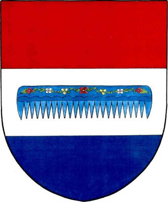 V červeno-stříbrno-modře děleném štítě uprostřed modrý zdobený přirozený hřeben bez rukojeti s dvaceti čtyřmi zuby. Znak Volduchy
