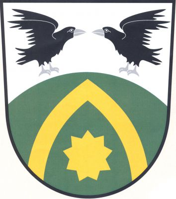Stříbrno-zeleně vzhůru do oblouku dělený štít, nahoře dvě přivrácené rozkřídlené vrány přirozené barvy, dole devítihrotá hvězda ve vyrůstajícím lomeném oblouku, obojí zlaté. Znak Vranov