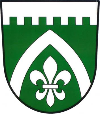 V zeleném štítě pod stříbrnou cimbuřovou hlavou ve vyrůstajícím prázdném gotickém oblouku lilie, vše stříbrné. Znak Vyskeř