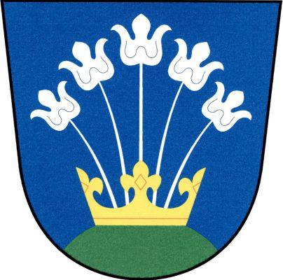 V modrém štítě na zeleném návrší zlatá koruna, z níž do vějíře vyrůstá pět stříbrných liliovitých květů na stoncích. Znak Vyškovec