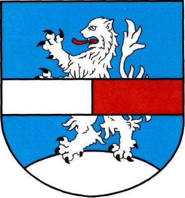 V modrém štítě na stříbrném návrší stříbrný vzpřímený lev s černou zbrojí a červeným jazykem, přes něj stříbrno-červeně polcené břevno. Znak Zavidov