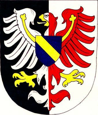 V zeleno-stříbrně polceném štítě stříbrno-červeně polcená orlice se zlatou zbrojí a perizoniem, nesoucí na hrudi modrý štítek se zlatým kosmým břevnem. Znak Zdíkov