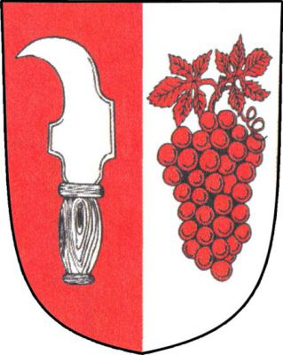 Červeno-stříbrně polcený štít, vpravo kosíř, vlevo vinný hrozen na stonku se dvěma listy, opačných barev. Znak Želešice