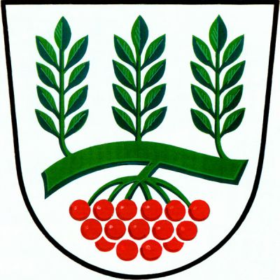 Ve stříbrném štítě zelená větev jeřábu se třemi vztyčenými listy a svěšeným červeným plodenstvím. Znak Žeraviny