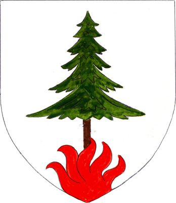 Ve stříbrném poli z plamenů v patě štítu vyrůstá smrk v přirozených barvách. Znak Žilina