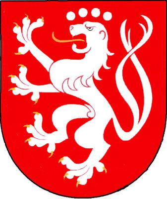 V červeném štítě stříbrný dvouocasý lev se zlatou zbrojí a jazykem, s hlavou převýšenou čtyřmi stříbrnými kotouči do oblouku. Znak Žinkovy