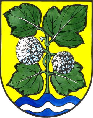 Ve zlatém štítě vyrůstá z modré vlnité paty se stříbrným vlnitým břevnem Kyčelnice trojlaločná se čtyřmi zelenými listy a stříbrným okvětím. Znak Zvíkovec