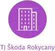 TJ Škoda Rokycany, IČO: 00478318: vizualizace vztahů osob a společností