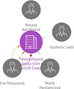 Tělovýchovná jednota KOH-I-NOOR České Budějovice, z.s., IČO: 00476943: vizualizace vztahů osob a společností