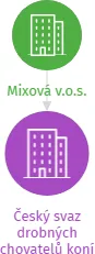 Český svaz drobných chovatelů koní všech plemen v likvidaci, IČO: 00505668: vizualizace vztahů osob a společností
