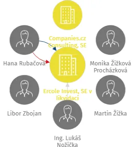 Ercole Invest, SE v likvidaci, IČO: 01457675: vizualizace vztahů osob a společností