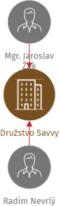 Družstvo Savvy, IČO: 01448862: vizualizace vztahů osob a společností