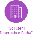 “Sdružení Fenerbahce Praha“, IČO: 01960920: vizualizace vztahů osob a společností