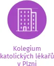 Kolegium katolických lékařů v Plzni, IČO: 02005026: vizualizace vztahů osob a společností
