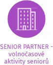 SENIOR PARTNER - volnočasové aktivity seniorů, IČO: 02042410: vizualizace vztahů osob a společností