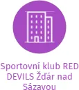 Sportovní klub RED DEVILS Žďár nad Sázavou, IČO: 02019582: vizualizace vztahů osob a společností