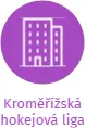 Kroměřížská hokejová liga, IČO: 02093359: vizualizace vztahů osob a společností