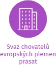 Svaz chovatelů evropských plemen prasat, IČO: 02126028: vizualizace vztahů osob a společností