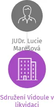 Sdružení Vidoule v likvidaci, IČO: 02176114: vizualizace vztahů osob a společností