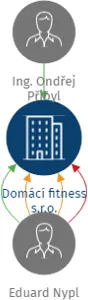 Domácí fitness s.r.o., IČO: 02215993: vizualizace vztahů osob a společností