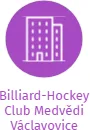 Billiard-Hockey Club Medvědi Václavovice, IČO: 02236664: vizualizace vztahů osob a společností
