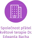 Společnost přátel květové terapie Dr. Edwarda Bacha, IČO: 02240131: vizualizace vztahů osob a společností