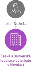 Česká a slovenská federace volejbalu v likvidaci, IČO: 02380471: vizualizace vztahů osob a společností