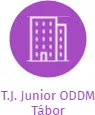 T.J. Junior ODDM Tábor, IČO: 02424789: vizualizace vztahů osob a společností